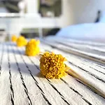 Apartman Pepper