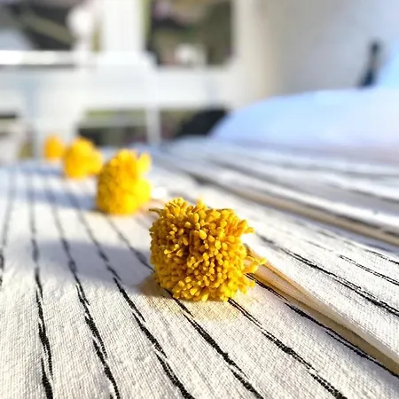 Apartman Pepper